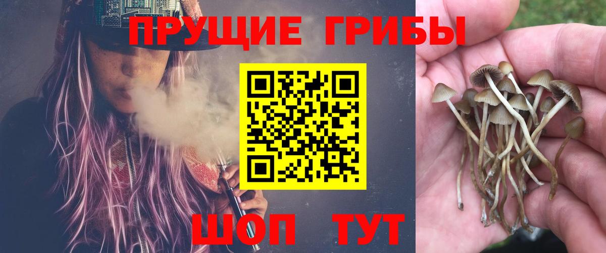 Галлюциногенные грибы прущие грибы Павловский Посад